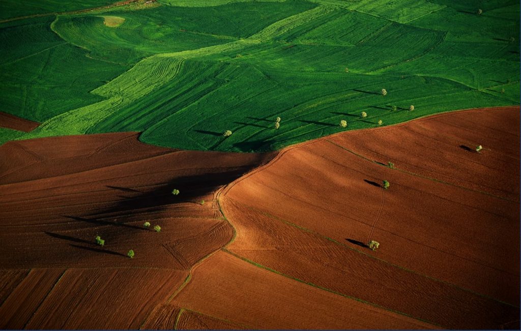 A stretch of land, with green fields, earth and a few trees.